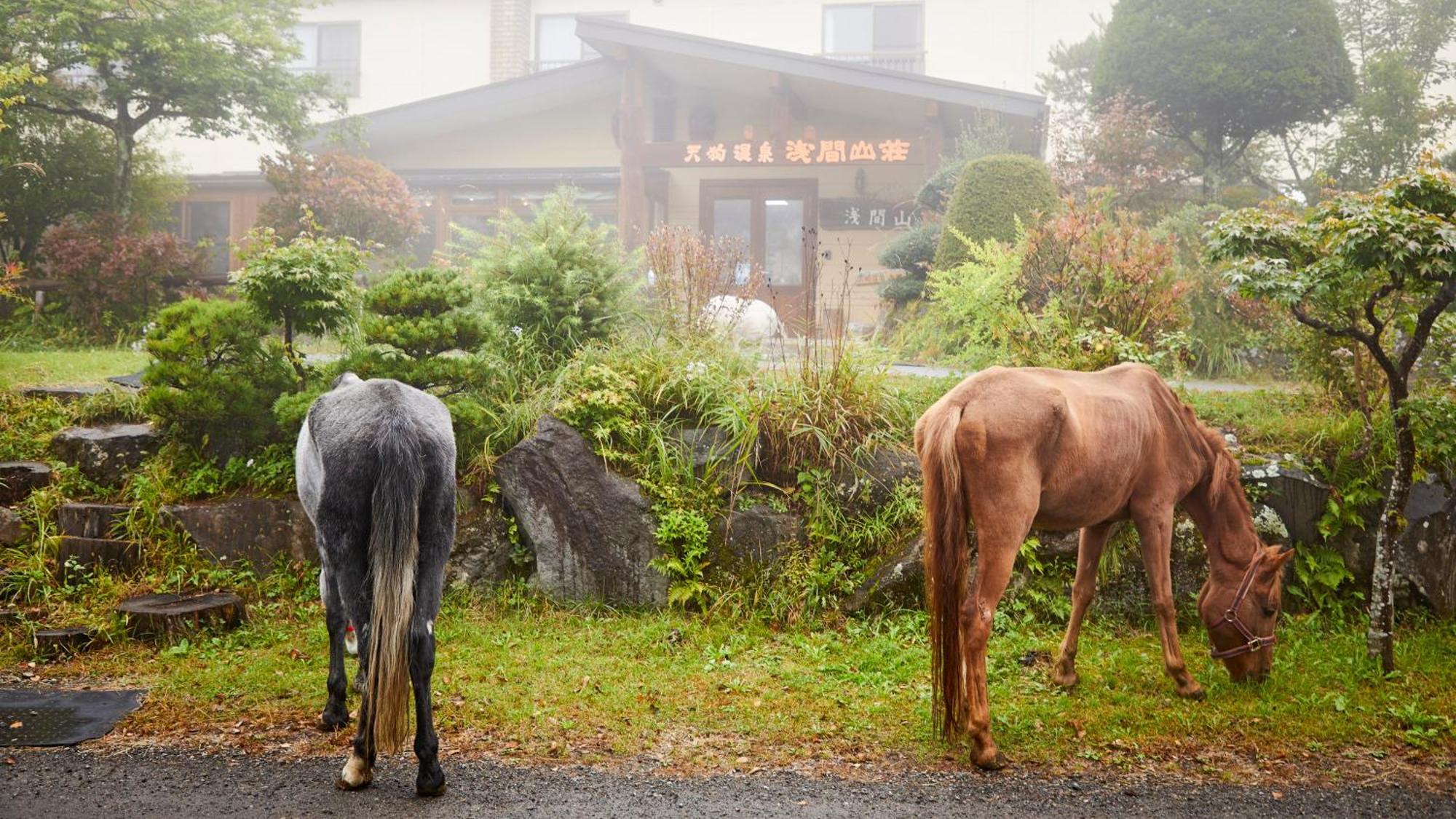 Tengu Onsen Asama Sanso 코모로 외부 사진