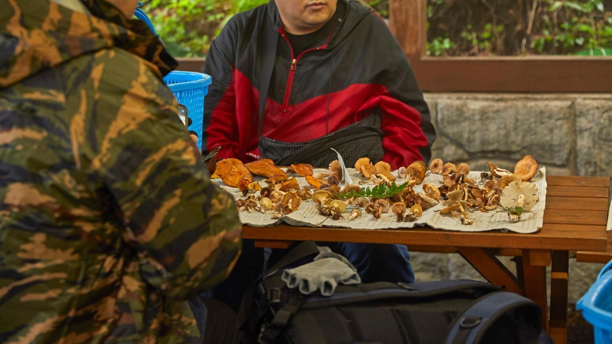 Tengu Onsen Asama Sanso 코모로 외부 사진